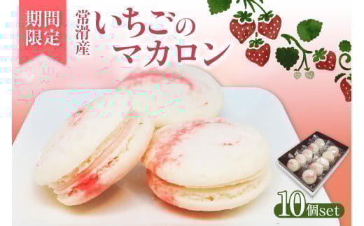 常滑いちごのマカロン10個セット