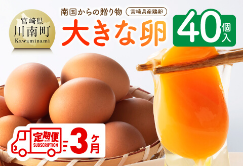 【3ヶ月定期便】 宮崎県産鶏卵 「南国からの贈り物」大きな卵40個入り（35個+破損補償5個）【卵 鶏卵 新鮮 生卵 タマゴ おうち時間】[C01401t3]