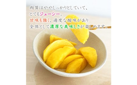 《2026年産先行受付》山形県産 黄桃 3kg ※品種玉数おまかせ もも モモ 桃 デザート フルーツ 果物 くだもの 果実 食品 山形県 FSY-2520