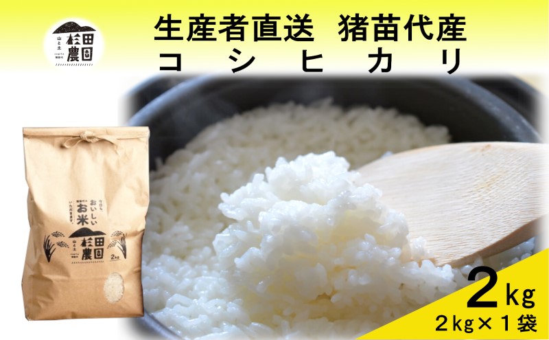 【令和7年度産】 米 コシヒカリ 2kg 白米 精米 ※沖縄・離島への配送不可