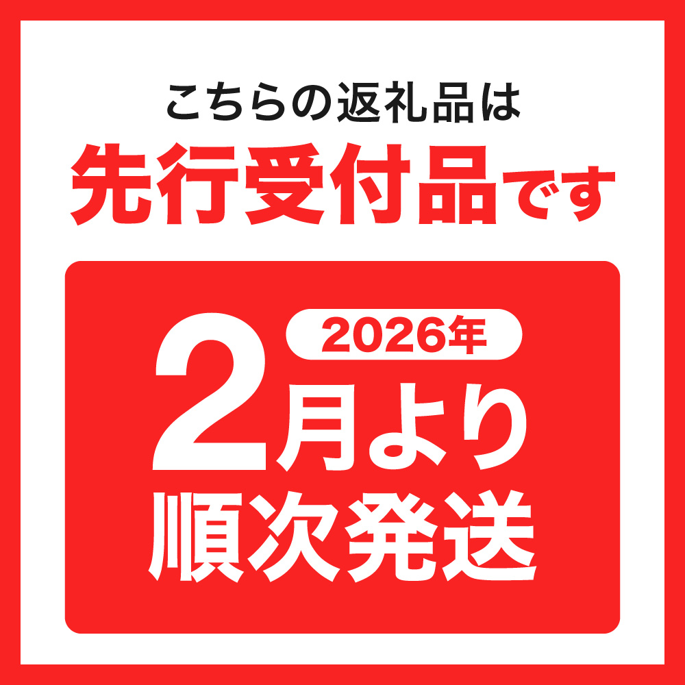 951アイスクリーム　バルクアイス2L×１個（黒糖）｜本格派 アイス ミルク 北海道 札幌市