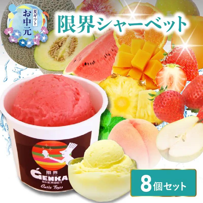 【お中元ギフト】 限界シャーベット 8個セット ≪7/1～8/9の期間に発送≫ J06005-S