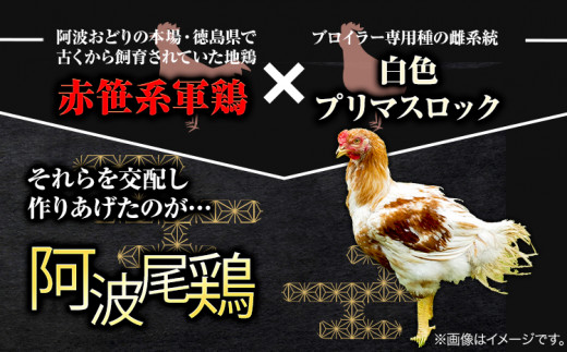阿波尾鶏 鶏肉 もも肉 むね肉 食べ比べ セット 500g × 4パック 計2kg 岸農園 《3月中旬頃から出荷予定》｜ 鶏肉 もも肉 むね肉 お肉 鳥肉 とり肉 阿波尾鶏 地鶏 大容量 小分け 国産