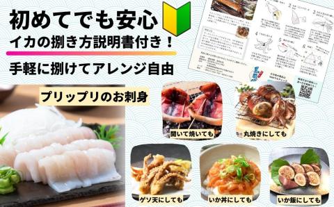 寒シマメ スルメイカ 朝どれ 丸ごと5本 冷凍 刺身 ＜便利な個包装＞