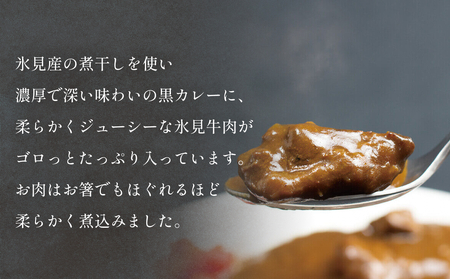 氷見牛カレー（レトルト） 5箱 富山県 氷見市 カレー 湯煎 惣菜