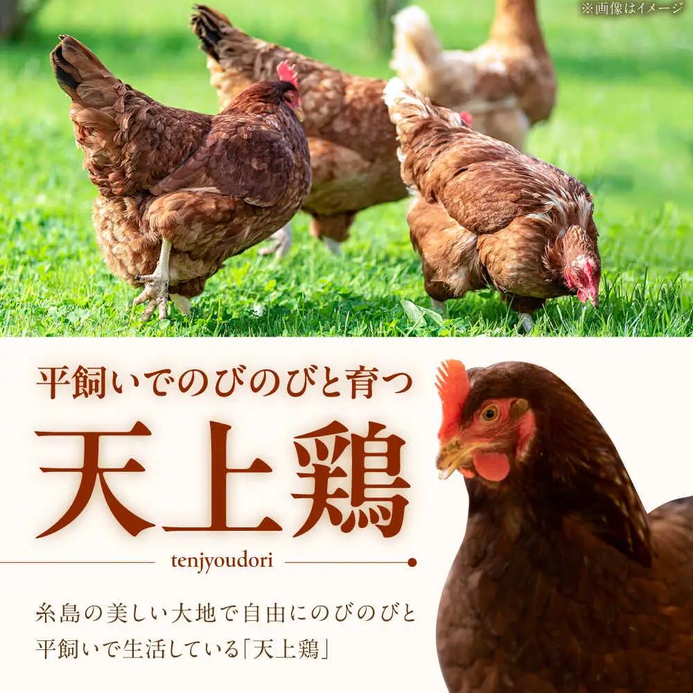 平飼い 卵  「 天上卵 」 40個 セット 《糸島》 糸島市 / 糸島ファームハウスUOVO [AKH005] 鶏卵 平飼い 平飼い卵 玉子 たまご 高級 自然 新鮮 自家配合飼料