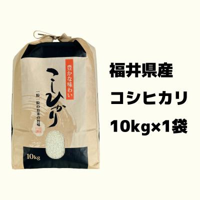 ふるさと納税 小浜市 令和7年産新米 こしひかり白米10kg |  | 03