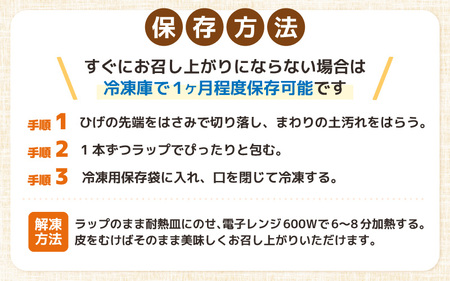 【先行予約】【訳あり】農場直送 鮮度抜群 スイートコーン( とうもろこし ) 約2.5kg（6本～8本) 【お楽しみ バーベキュー 冷凍保存可能 焼肉 おやつ ご飯のおとも 野菜 国産 産地直送】【2