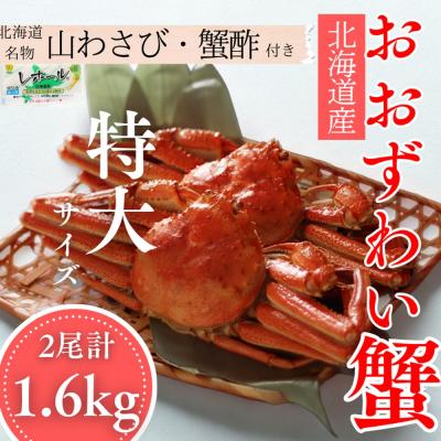 ふるさと納税 紋別市 【北海道産】オオズワイガニ姿　特大サイズ2尾計1.6kg | 蟹酢・山わさび付　かに　おおずわいがに