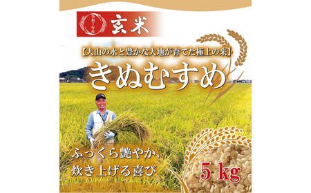 令和7年産　きぬむすめ 玄米5kg