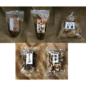 きのこ加工品詰め合わせ5点セット【配送不可地域：離島】【1258327】