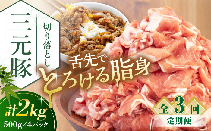 
            【全3回定期便】平田牧場 切り落とし 2kg (500g×4P) 《喜茂別町》【平田牧場】 肉 豚肉 生姜焼き 小分け 冷凍 冷凍配送 定期便 定期 北海道 平田牧場 三元豚 [AJAP035] 60000 60000円 6万円
          