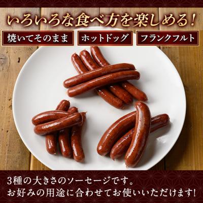 ふるさと納税 霧島市 鹿児島県産黒毛和牛100%使用!ソーセージ3パック【窪田畜産】　K-049 |  | 02
