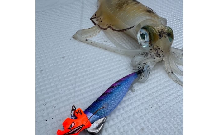 ローハイド紫煙 ティップラン 専用エギ イカ釣り ボートエギング アオリイカ