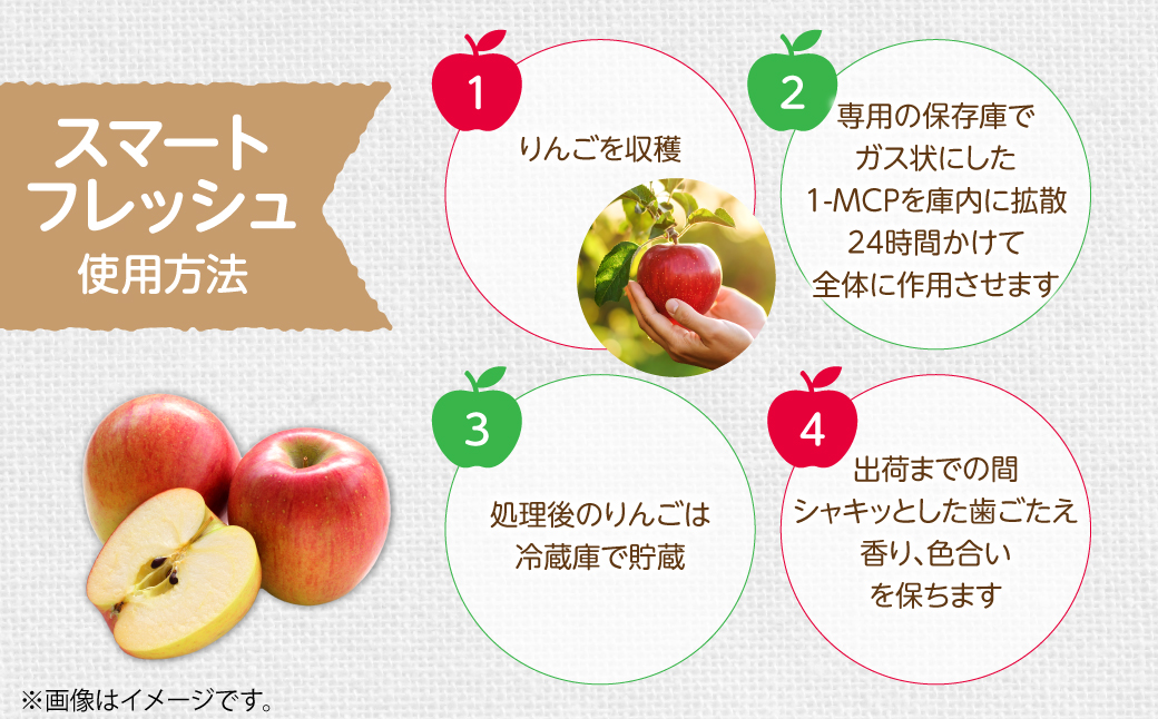 3月発送！北海道壮瞥町　りんご(スマートフレッシュ)　品種名「シナノスイート」12～18玉 約5kg　SBTF026