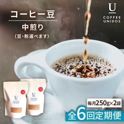 ふるさと納税 糸島市 【全6回定期便】中煎りコーヒー 豆 ウニドスブレンド 250g×2袋(豆or粉) [AQF022]