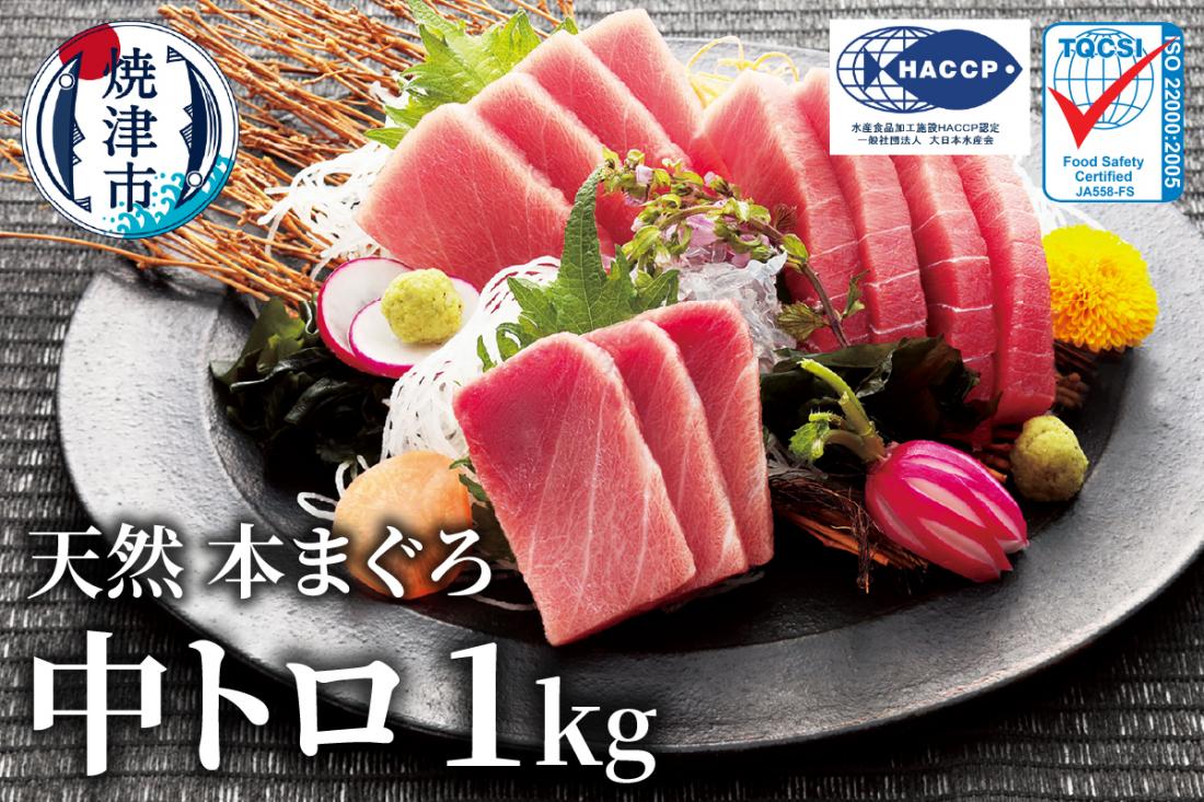 a23-028　マグロ 中トロ 訳あり 刺身 冷凍 炙り 寿司 丼 ぶつ切り まぐろ専門店 天然 本まぐろ中トロ 1kg