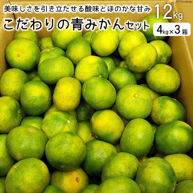 【ふるさと納税】【期間限定発送】 みかん こだわりの青みかんセット 12kg（4kg×3箱） [森崎果樹園 長崎県 雲仙市 item2270] みかん 果物 フルーツ 青みかん 12キロ 期間限定