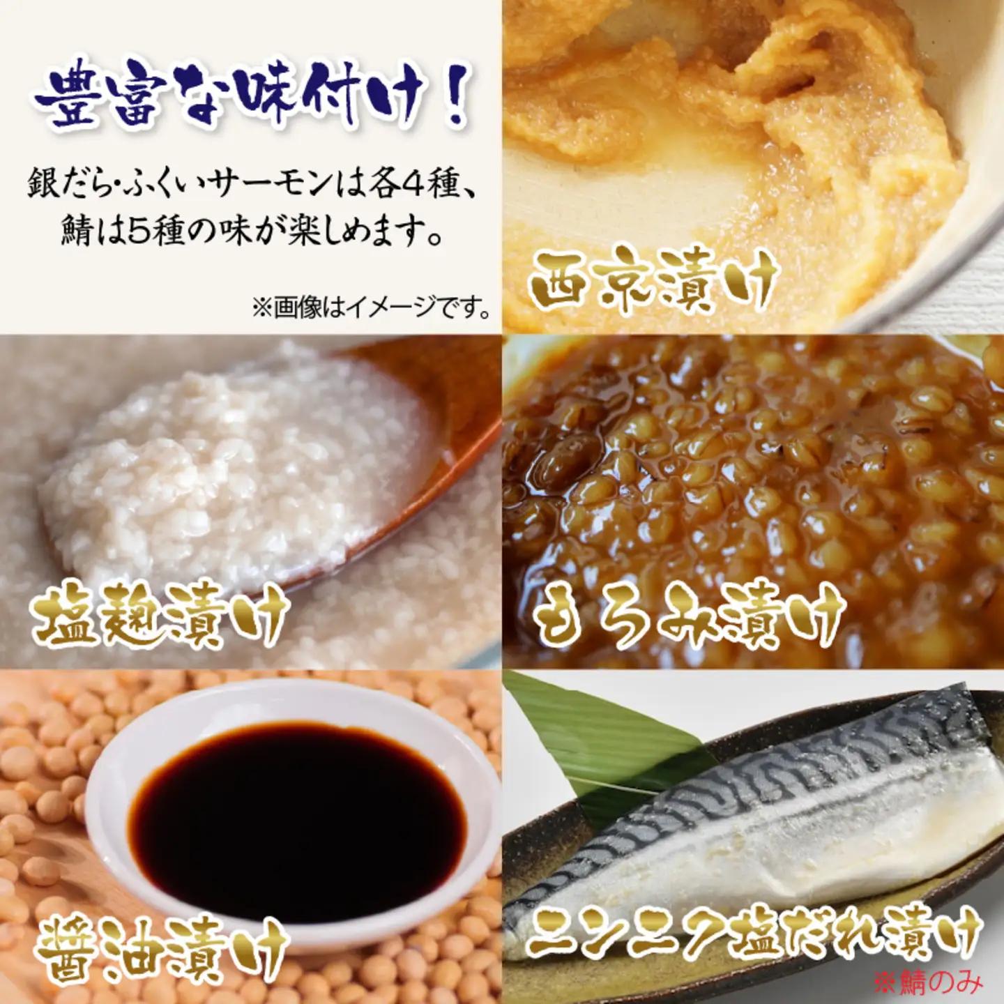 食の力セット 極（銀だら・ふくいサーモン・鯖）13種魚 海鮮