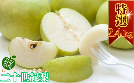 Y014 二十世紀梨(赤秀) 2.4kg
