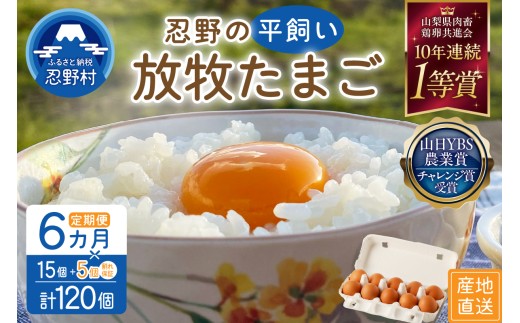 【6ヶ月定期便】忍野の平飼い放牧卵120個（15個＋割れ保証5個）