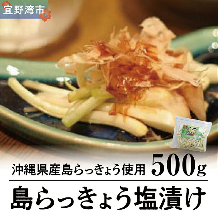 【ふるさと納税】島らっきょう塩漬け500g