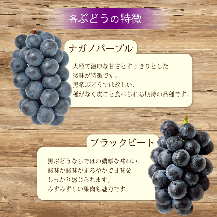 【先行受付】農園おまかせぶどうセット2房(約1.5kg)2025年9月下旬発送予定 果物 くだもの フルーツ ブドウ 葡萄 202007