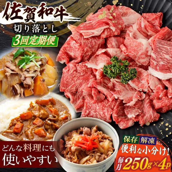 【定期便】牛肉切り落とし 計1kg NAC165 牛肉切り落とし 全3回
