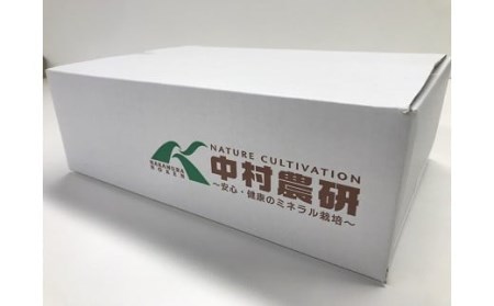 中村農研 古代米セット 300gボトル 6本（計1.8kg） [B510]