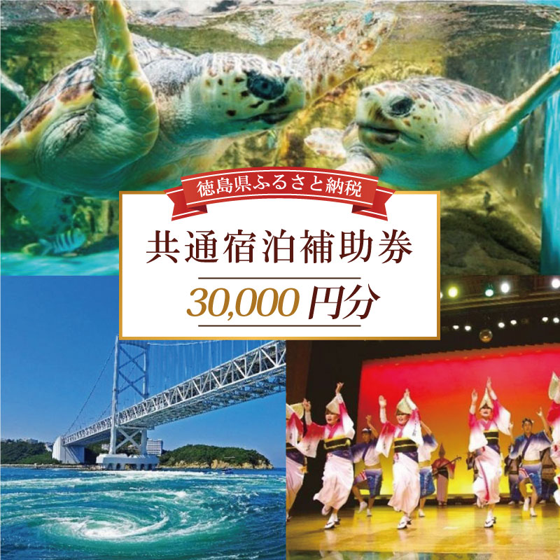 【ふるさと納税】 徳島県 宿泊券 30,000円分 徳島県 徳島 すだち 大野 海苔 のり お土産 米 徳島ラーメン ラーメン 道の駅 観光 ホテル 美術館 名物 温泉 グルメ 徳島ヴォルティス フィッシュカツ 半田そうめん 阿波踊り お菓子 日本酒 藍染