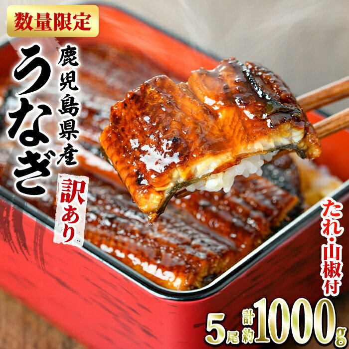 入金確認後、2週間程度でお届け！＜訳あり＞東串良町のうなぎ蒲焼(無頭)(5-7尾・計約1kg・タレ、山椒付)うなぎ生産量日本一の鹿児島県！国産で安心！豊富な地下水で育った鰻の蒲焼き！【アクアおおすみ】