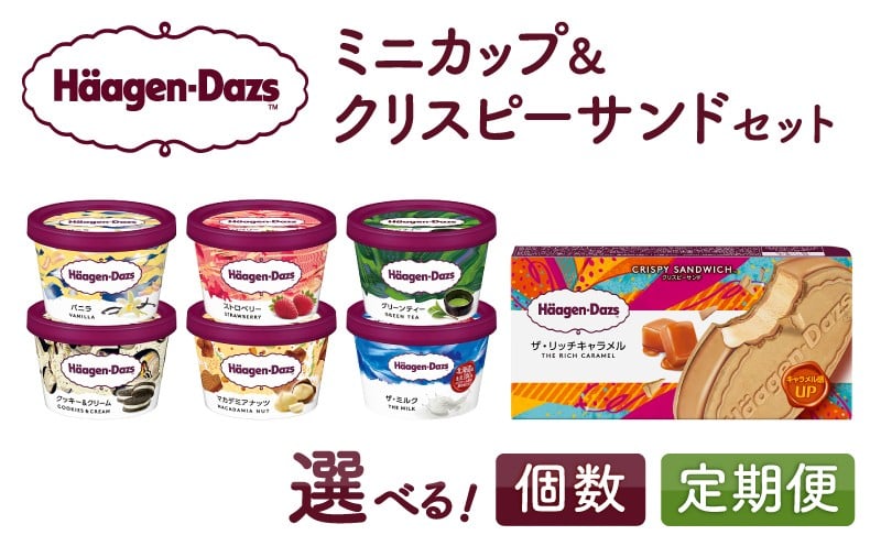
            【個数と定期便が選べる!!】ハーゲンダッツ『ミニカップ＆クリスピーサンド ザ・リッチキャラメル』アイスクリーム アイス スイーツ デザート_H0016-035-SKU
          