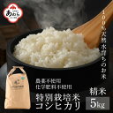 【ふるさと納税】【令和6年産 新米】コシヒカリ 精米 5kg 特別栽培米 無農薬 化学肥料不使用 / 伊与衛門農園の特別栽培米 高品質 鮮度抜群 福井県 あわら市産 ブランド米 R6 北陸 白米 お米 ご飯