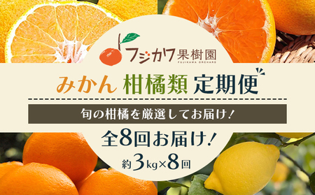 柑橘セット フジカワ果樹園 彩り柑橘 温州みかん 柑橘セット【定期便8回】