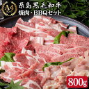 【ふるさと納税】焼肉 バーベキュー セット 計800g 牛モモ 牛バラ 豚バラ 豚肩ロース 鶏もも肉 A4ランク 糸島黒毛和牛 糸島華豚 博多華味鳥【糸島ミートデリ工房】 [ACA010] 18000円