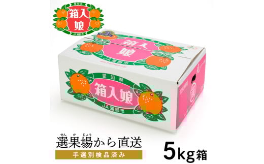 【G0002】【期間限定】蒲郡みかん「箱入娘」約５kg