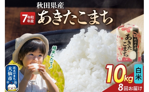 《定期便8ヶ月》【白米】あきたこまち 10kg（5kg×2） 秋田県産 令和7年産  こまちライン 秋田県 大仙市産 [秋田 お米 米どころ あきたこまち こまちライン]