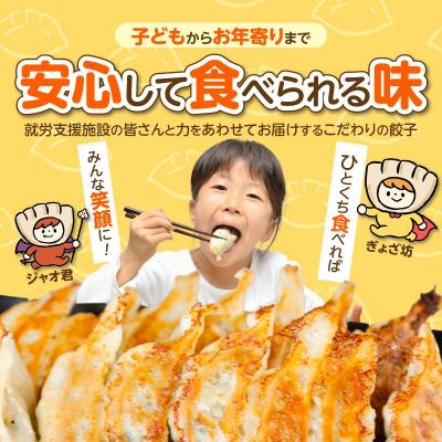 ふるさと納税 碧南市 ≪家族が笑顔になる餃子≫『すまいる餃子』 24個 餃子 ぎょうざ 三河ポーク H204-002 |  | 01
