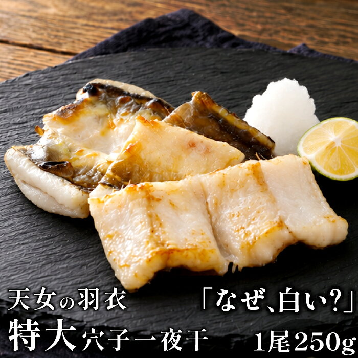 【ふるさと納税】 あなご 特大一夜干 天女の羽衣アナゴ 国産 穴子 干物 1尾 250g 1枚 低塩熟成 低塩 うす塩 天日塩 化学調味料不使用 着色料不使用 無添加 天ぷら ちらし寿司 蒲焼き 素焼き 冷凍 真空 特産品 お取り寄せ 贈答 ギフト 父の日 母の日 天然