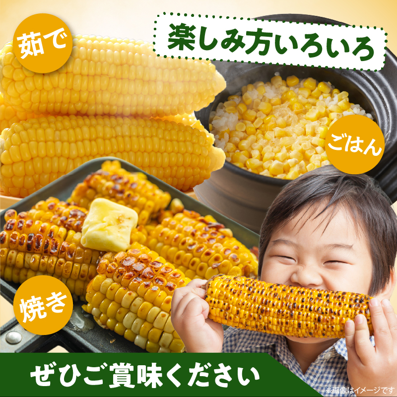 先行予約≪期間限定≫みやざきフレッシュスイートコーン(約3kg) _T015-004【とうもろこし 野菜 旬 おやつ 国産 人気 ギフト 食品 BBQ 焼肉 新鮮 産地直送 お土産 送料無料 プレゼン