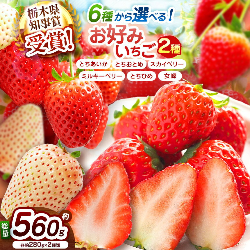 【ふるさと納税】いちご 食べ比べ 選べる6種【2027年先行予約】280g×2P（とちあいか とちおとめ スカイベリー ミルキーベリー とちひめ 女峰）定期便 有 お好みいちご｜人気 高評価 栃木県矢板市
