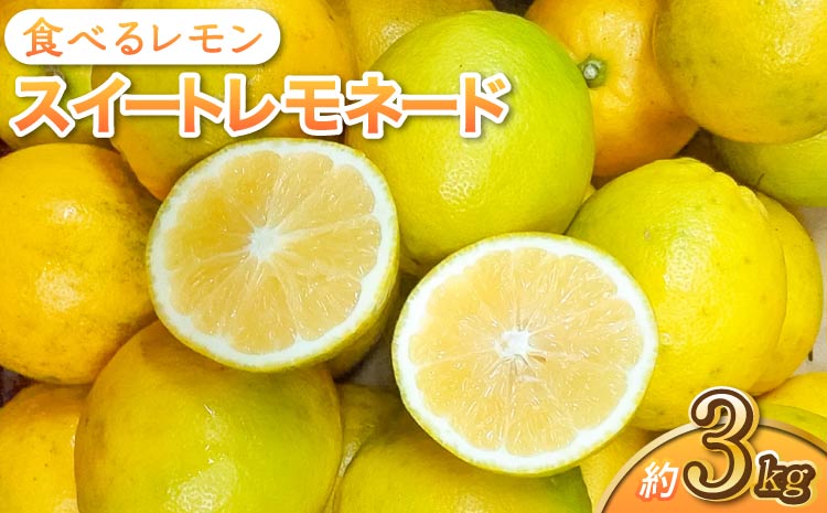 先行予約 食べるレモン スイートレモネード 約3kg（20〜30玉）【吉田レモニー】【2026年12月上旬から2027年6月中旬発送予定】
