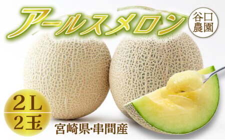 TNM2L ＜先行予約・数量限定＞ 串間産アールスメロン２Ｌ２玉（計３kg以上）【谷口農園】