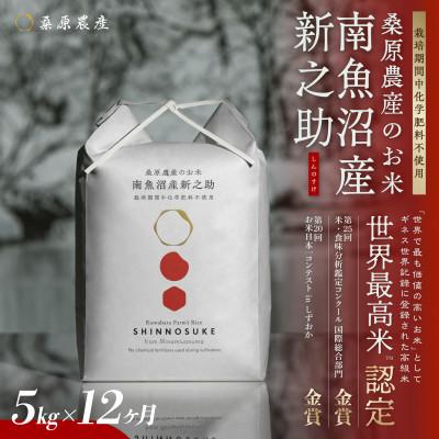 ふるさと納税 南魚沼市 【毎月定期便】ギネス世界記録「世界最高米」認定 最高級南魚沼産新之助5kg 桑原農産のお米全12回