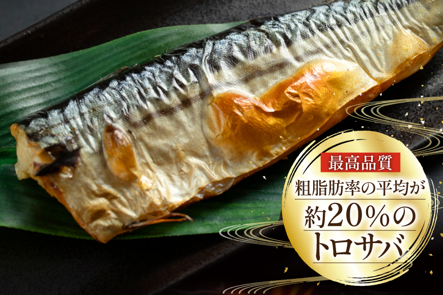 訳あり 塩サバ フィレ 3kg [足利本店 宮城県 気仙沼市 20564146] 魚介類 魚 海鮮 大容量 サバ さば 鯖 サバフィレ サバフィーレ 鯖フィレ トロサバ 訳アリ 訳あり わけあり 切り