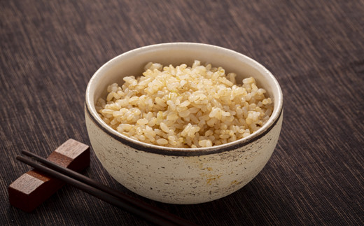 【定期便3ヶ月】ななつぼし 玄米 10kg(5kg×2袋) 5月発送開始 特Aランク米 令和7年産 雪冷気 籾貯蔵 雪中米 北海道 nr-1222