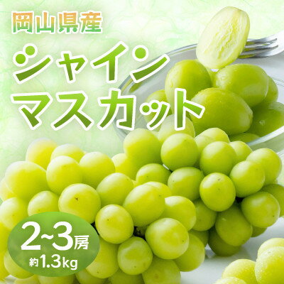 【ふるさと納税】【2026年発送】岡山県産シャインマスカット　約1.3kg・2～3房(クール便)【配送不可地域：離島】【1614355】