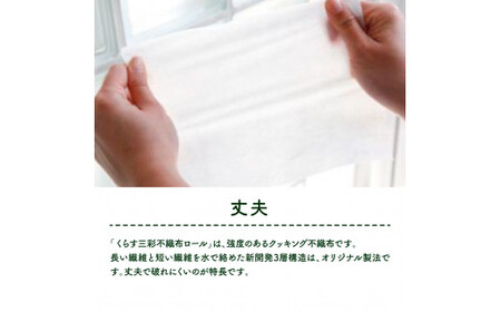 mizukami不織布ロール美活クッキング12本セット【三昭紙業株式会社】 [BQBF004]