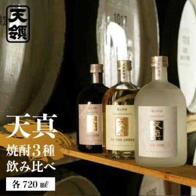 ふるさと納税 下呂市 【遅れてごめんね 父の日】【天領酒造】「天真 焼酎飲みくらべ」セット【2-7fo】