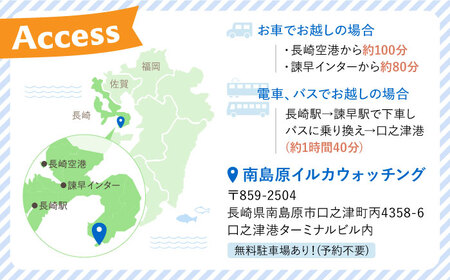 南島原 イルカウォッチング  4人用チケット / イルカ 観光 南島原市 / 南島原イルカウォッチング[SAE002]
